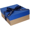 Promotional-DRB204-E