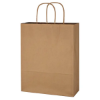 Picture of Kraft Paper Brown Shopping Bag - 10" x 13"