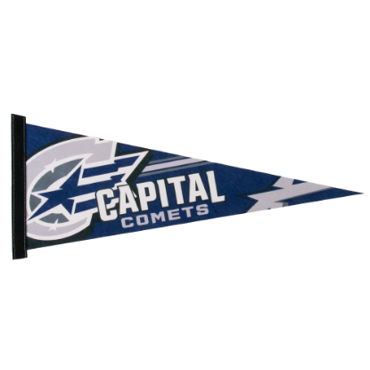 Custom 9" x 24" Full Color Felt Pennants