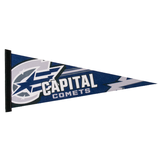 Custom 9" x 24" Full Color Felt Pennants