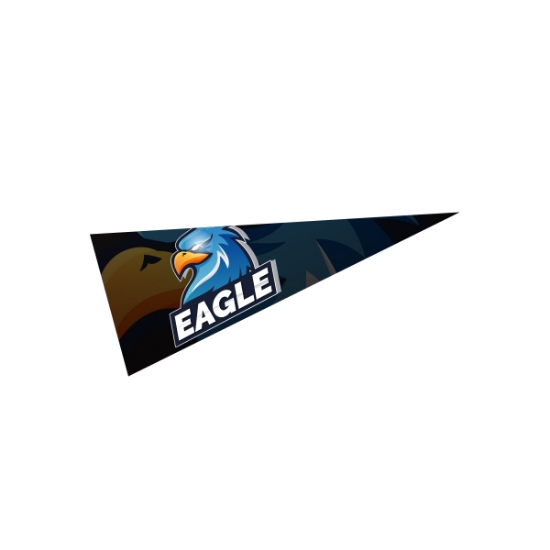 Picture of 5" X 12" Pennant