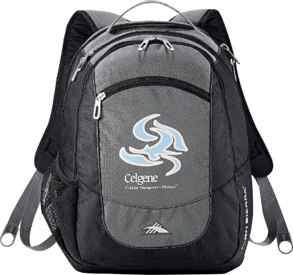 Picture of High Sierra Fly-By 17'' Computer Backpack
