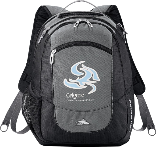 Picture of High Sierra Fly-By 17'' Computer Backpack