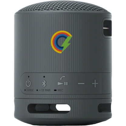 Picture of Sony SRS-XB100 Bluetooth Speaker