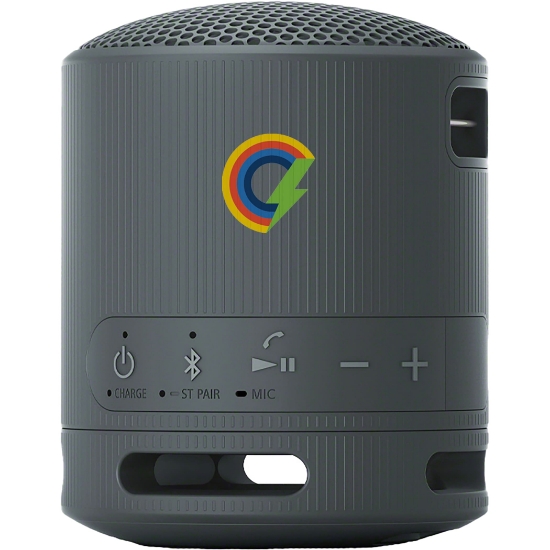 Picture of Sony SRS-XB100 Bluetooth Speaker