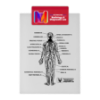 Picture of Garyline® Letter Clipboard with Jumbo Clip