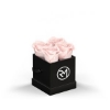 93922 BLKBOX BLUSH Silkscreen