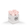 93922 WHTBOX BLUSH Silkscreen