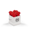 93922 WHTBOX RED Silkscreen
