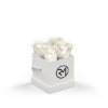 93922 WHTBOX WHT Silkscreen