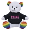1277 RAINBOW Shirt Silkscreen