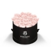 93921 BLKBOX BLUSH Silkscreen