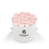 93921 WHTBOX BLUSH Silkscreen