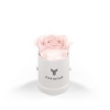 93920 WHTBOX BLUSH Silkscreen