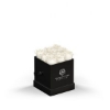 93923 BLKBOX WHT Silkscreen