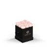 93923 BLKBOX BLUSH Silkscreen