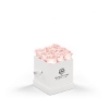 93923 WHTBOX BLUSH Silkscreen