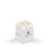 93923 WHTBOX WHT Silkscreen