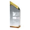 10013 GLD Laser