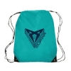 Aqua Screen Print