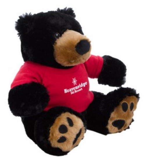 CT843 black image