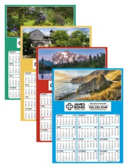 Skinner & Kennedy Display-A-Year combined image