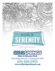 41055 cover image