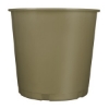 VOUT050_Metallic Gold