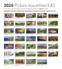6-E pic assortment image