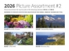 980-E pic assortment image