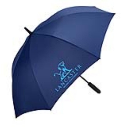 Shed Rain™ 50" RPET Bright Light Auto-Open Stick Umbrella - Navy