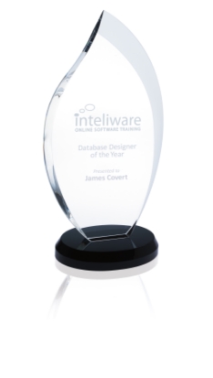 Innovation Award - Medium - Eng
