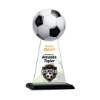 Victory Award - Soccer
