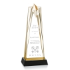 Shooting Star Award - Gold