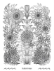 Good Value™ Faithful Reflections Adult Coloring Book - 03