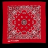 Garyline® 22" Bandana with Stock Paisley Pattern - Red