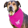 Garyline® Large Triangle Doggie Bandana - Fuchsia