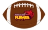 Good Value™ 30 Mil Medium Stock Shape Magnet - Football