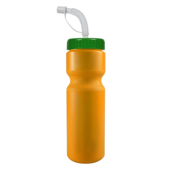 Garyline® Journey Bike Bottle with Straw Lid (Colors) - 28 oz. - Atheleticgold