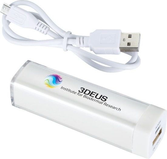 Flash 2,200 mAh Power Bank - White
