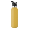 20 oz Basecamp Mesa Tundra Bottle with Screw Top and Flip-Top Straw Lid - Yellow