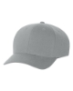Flexfit 110C One Ten Pro-Formance - Gray