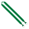 IMPORT Rush 1" Polyester 2-Ended Lanyard with Dual Silver Crimps & Split-Rings - Grass Green