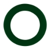 Disc-Y Business Ring Flyer - Dark Green