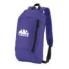 Budget Backpack - Purple