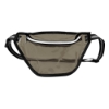 Ann Arbor Transparent Waist Pack - Smoke