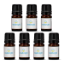 Essential Oil in 5 ml Mini Dropper Bottle - Group