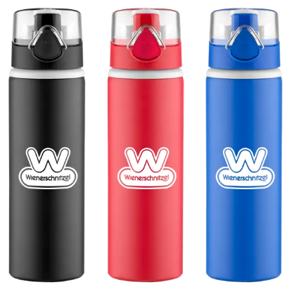 Hermosa Aluminum Bottle - Group