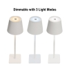 Theo LED Rechargeable Desk Lamp