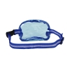 Sheer Essence Waist / Crossbody Sling Bag